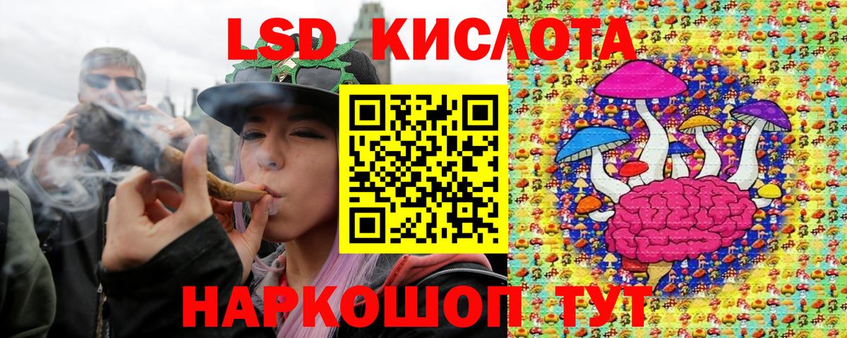 Канабис Курчалой