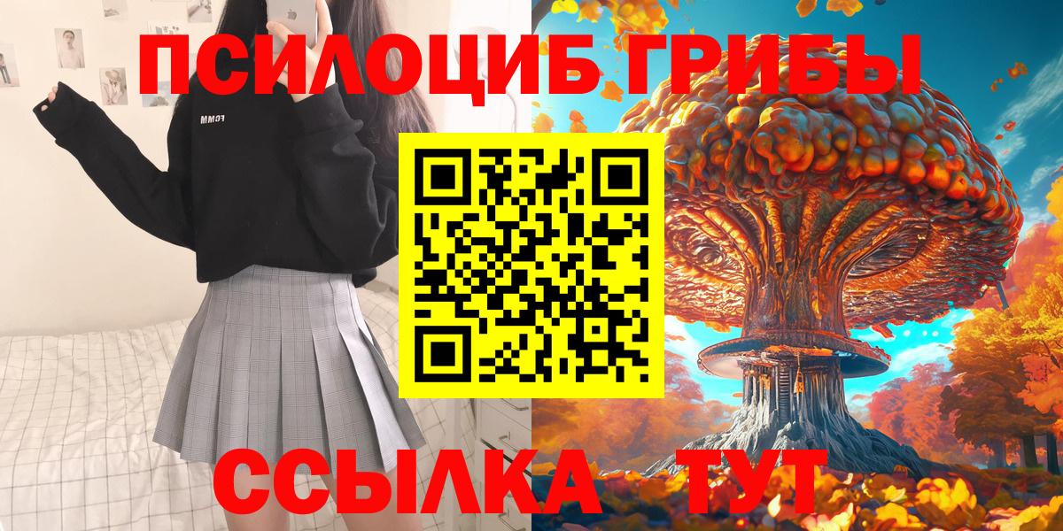 Галлюциногенные грибы мицелий  Вход с VPN  Псилоцибиновые грибы Psilocybine cubensis  Курчалой 