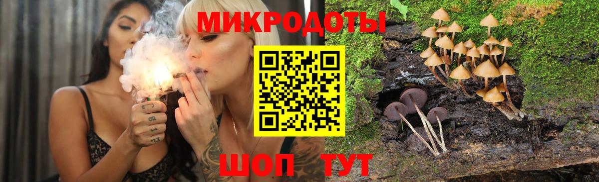 Галлюциногенные грибы GOLDEN TEACHER Курчалой
