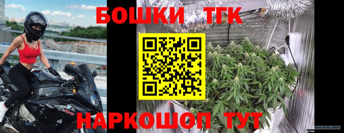 Каннабис индика  Канабис индика  Курчалой  Вход с VPN  Бошки Шишки ГИДРОПОН  Бошки Шишки THC 21% 